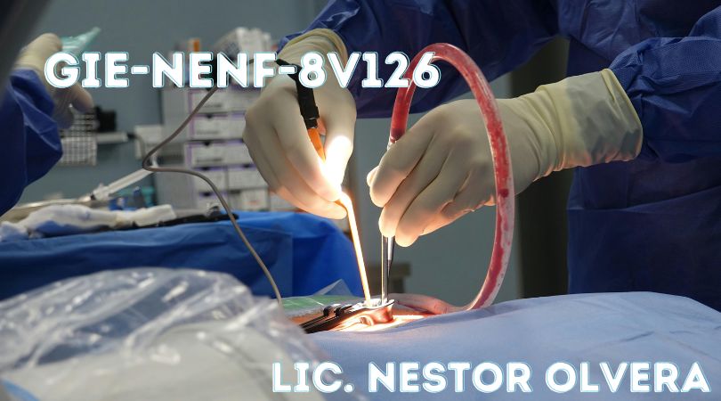 Protegido: GIE-NENF-8V126