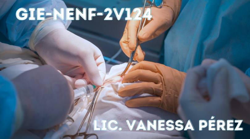 Protegido: GIE-NENF-2V124