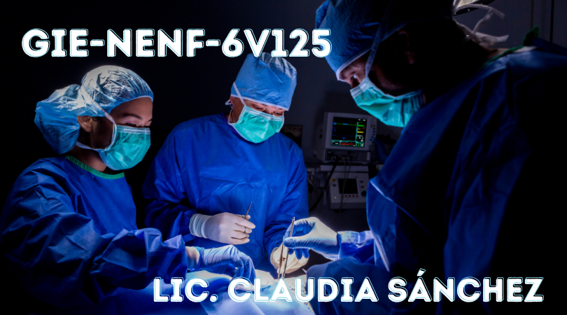 Protegido: GIE-NENF-6V125