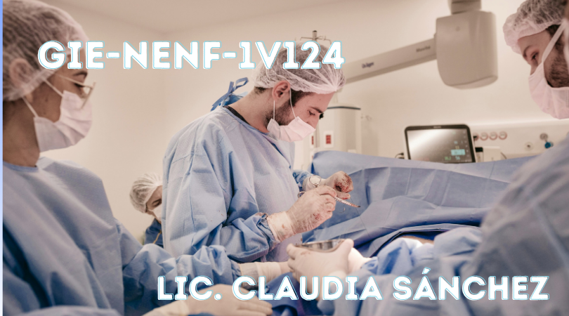 Protegido: GIE-NENF-1V124