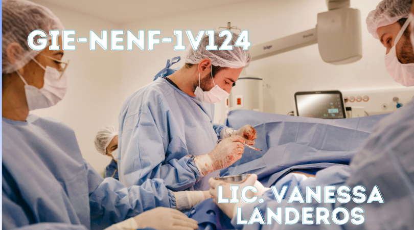 Protegido: GIE-NENF-1V124