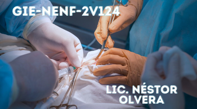 Protegido: GIE-NENF-2V124