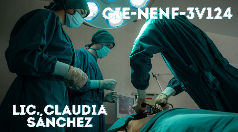 Protegido: GIE-NENF-3V124